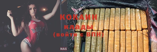 индика Белокуриха