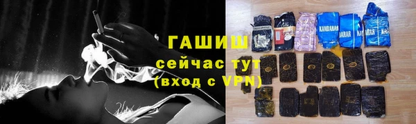 индика Белокуриха