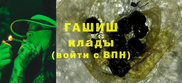 индика Белокуриха