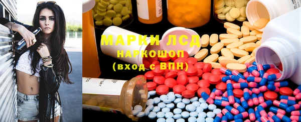 индика Белокуриха