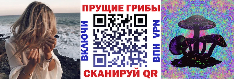Галлюциногенные грибы GOLDEN TEACHER  купить наркотик  Маркс 